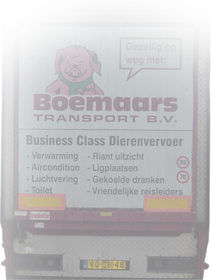 achterkant wagen